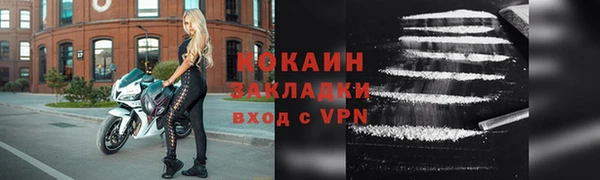 PSILOCYBIN Волосово