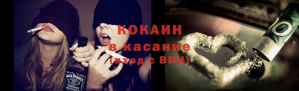 PSILOCYBIN Волосово