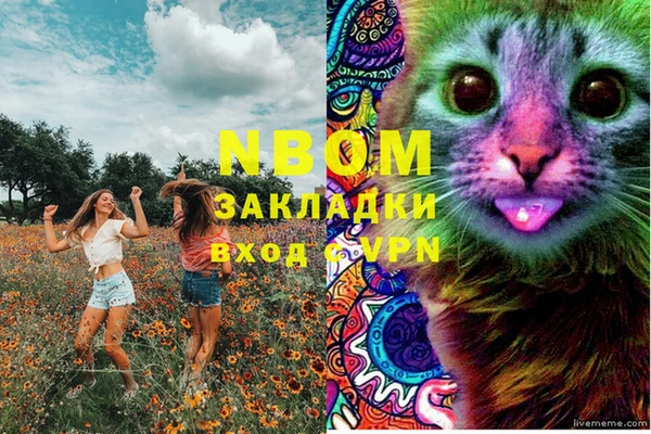шишки Володарск