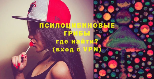 шишки Володарск