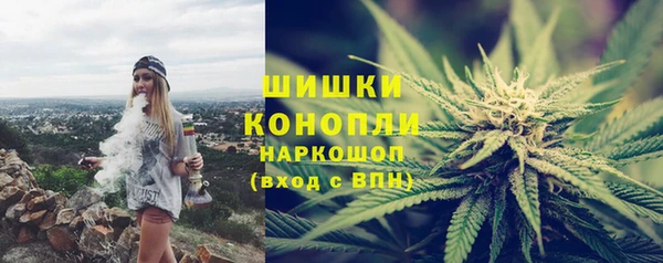 PSILOCYBIN Волосово